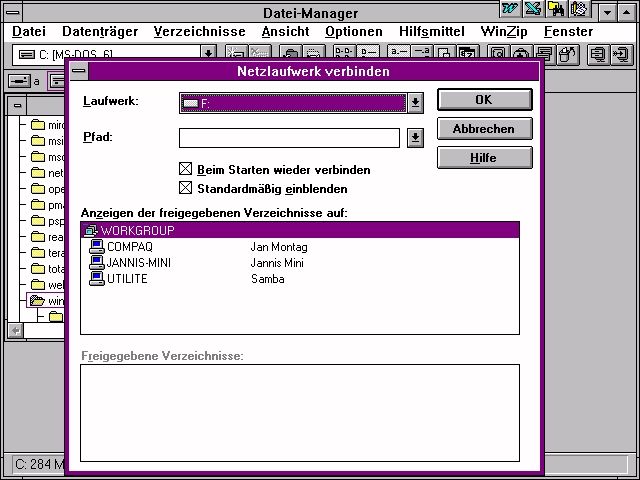 Original Screenshot: Win 3.11 with Samba Share Dateimanager